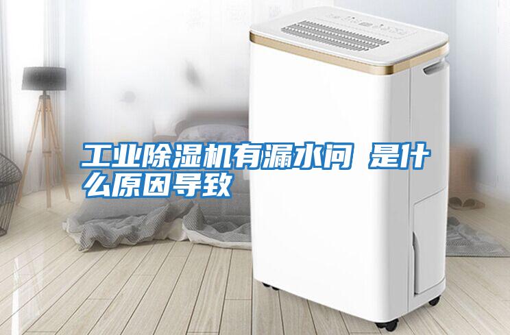工業(yè)除濕機有漏水問(wèn)題是什么原因導致