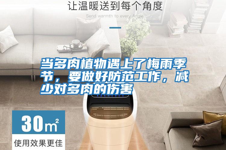 當多肉植物遇上了梅雨季節，要做好防范工作，減少對多肉的傷害