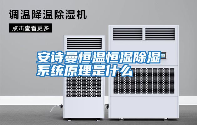 安詩(shī)曼恒溫恒濕除濕系統原理是什么