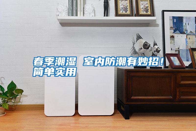 春季潮濕 室內防潮有妙招！簡(jiǎn)單實(shí)用