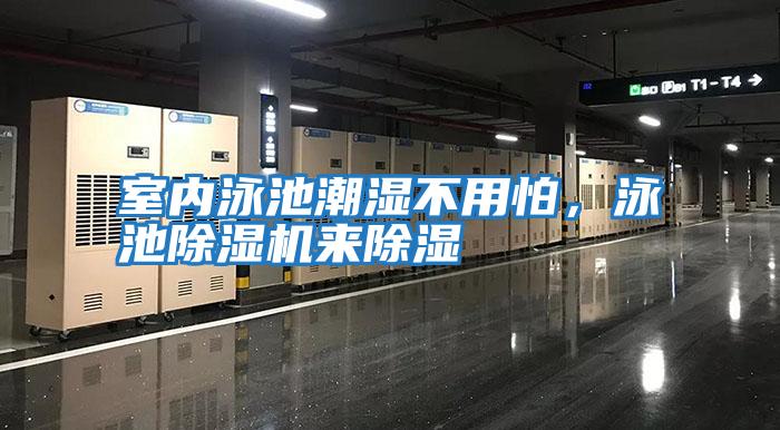 室內泳池潮濕不用怕，泳池除濕機來(lái)除濕
