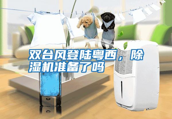 雙臺風(fēng)登陸粵西，除濕機準備了嗎