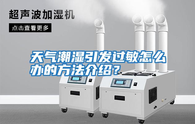 天氣潮濕引發(fā)過(guò)敏怎么辦的方法介紹？