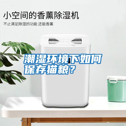 潮濕環(huán)境下如何保存貓糧？