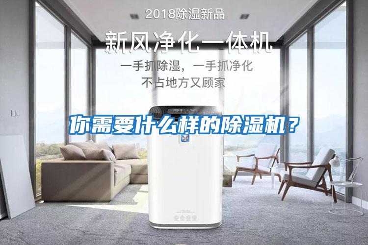 你需要什么樣的除濕機？
