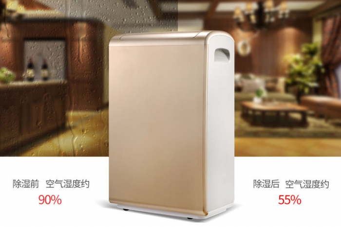 除濕機會(huì )不會(huì )傷害室內植物