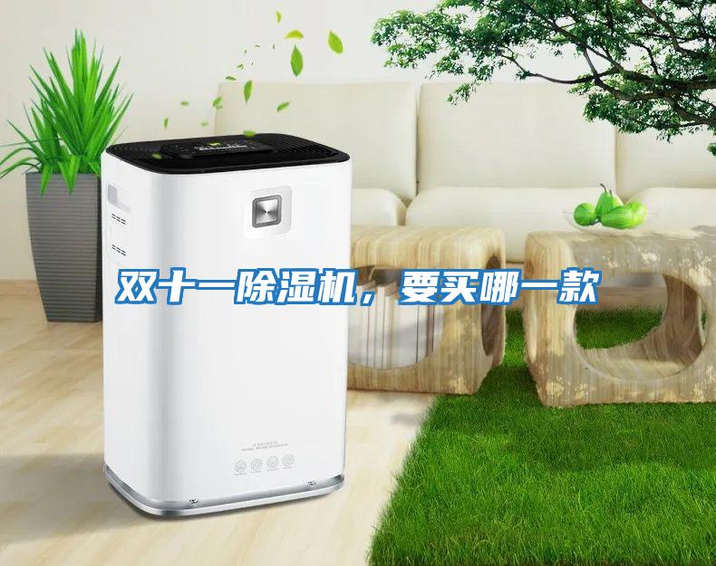 雙十一除濕機，要買(mǎi)哪一款