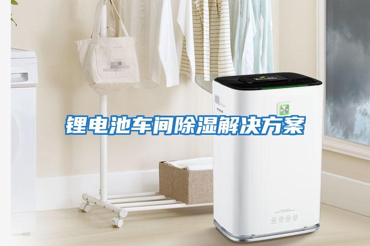 鋰電池車(chē)間除濕解決方案