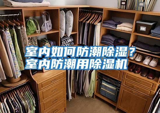 室內如何防潮除濕？室內防潮用除濕機