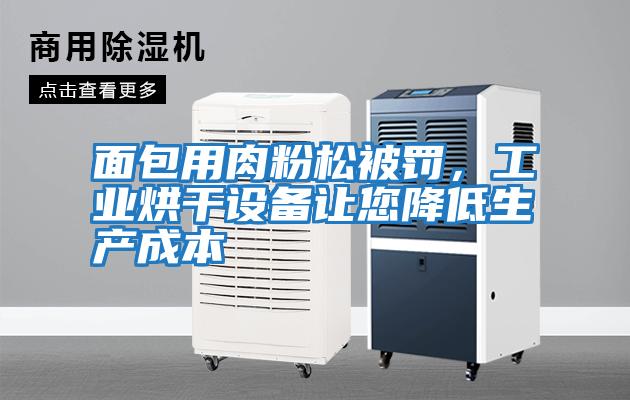 面包用肉粉松被罰，工業(yè)烘干設備讓您降低生產(chǎn)成本