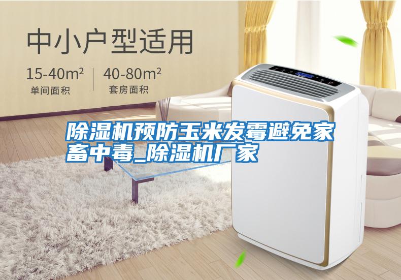除濕機預防玉米發(fā)霉避免家畜中毒_除濕機廠(chǎng)家