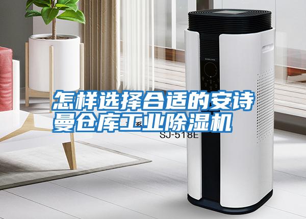 怎樣選擇合適的安詩(shī)曼倉庫工業(yè)除濕機