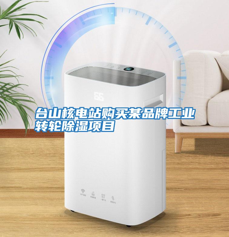 臺山核電站購買(mǎi)某品牌工業(yè)轉輪除濕項目