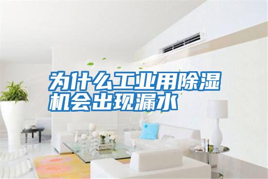 為什么工業(yè)用除濕機會(huì )出現漏水