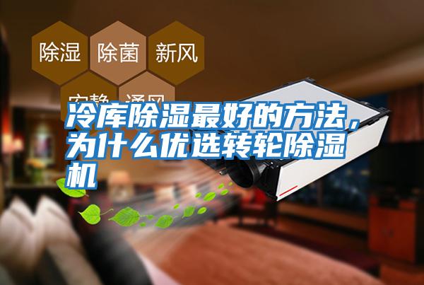 冷庫除濕最好的方法，為什么優(yōu)選轉輪除濕機
