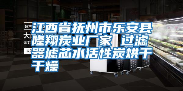 江西省撫州市樂(lè )安縣隆翔炭業(yè)廠(chǎng)家 過(guò)濾器濾芯水活性炭烘干干燥