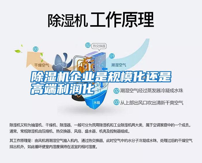 除濕機企業(yè)是規?；€是高端利潤化