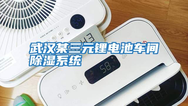 武漢某三元鋰電池車(chē)間除濕系統