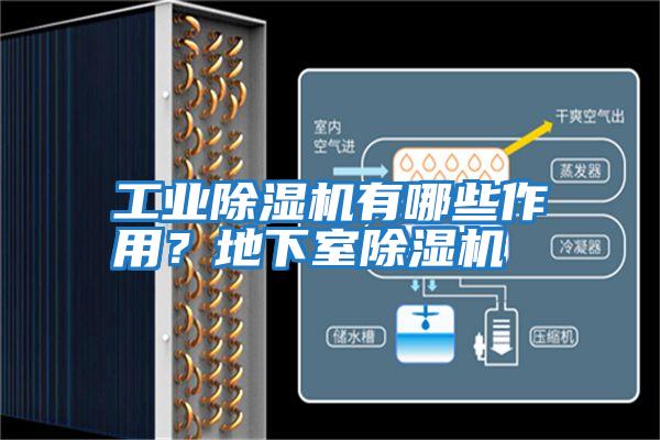 工業(yè)除濕機有哪些作用？地下室除濕機