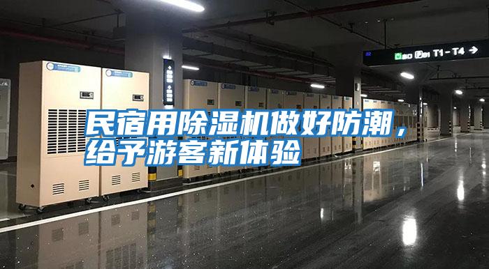 民宿用除濕機做好防潮，給予游客新體驗
