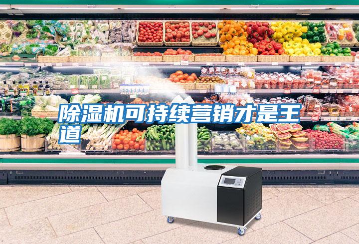 除濕機可持續營(yíng)銷(xiāo)才是王道