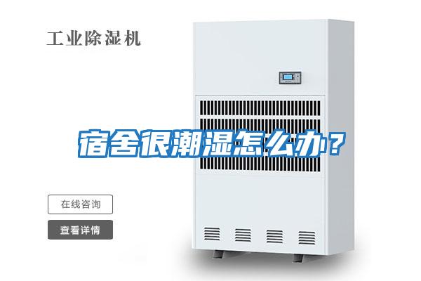 宿舍很潮濕怎么辦？