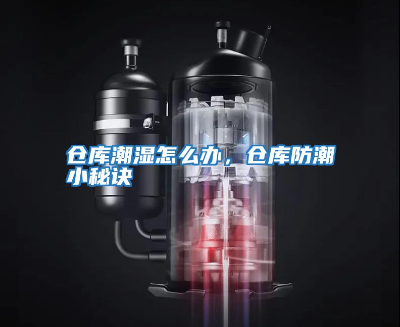 倉庫潮濕怎么辦，倉庫防潮小秘訣