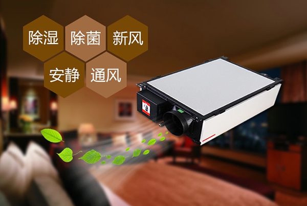 除濕機廠(chǎng)家會(huì )生產(chǎn)不同型號的除濕機
