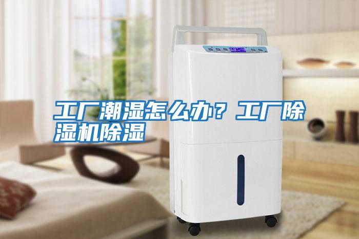 工廠(chǎng)潮濕怎么辦？工廠(chǎng)除濕機除濕