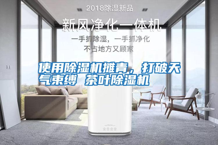 使用除濕機攤青，打破天氣束縛 茶葉除濕機