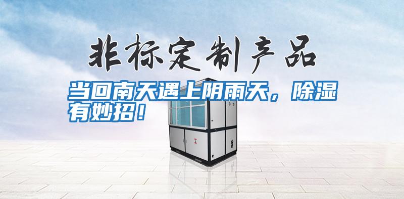 當回南天遇上陰雨天，除濕有妙招！