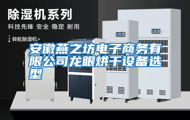 安徽燕之坊電子商務(wù)有限公司龍眼烘干設備選型
