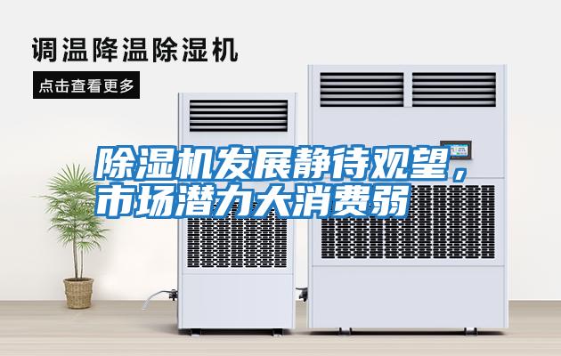 除濕機發(fā)展靜待觀(guān)望，市場(chǎng)潛力大消費弱