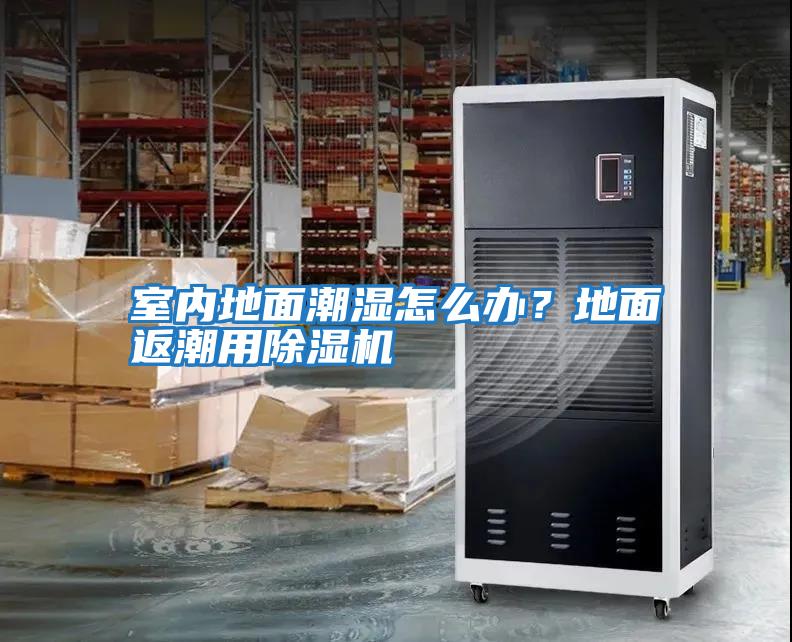 室內地面潮濕怎么辦？地面返潮用除濕機