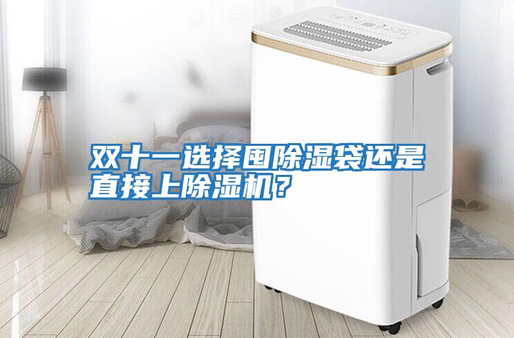 雙十一選擇囤除濕袋還是直接上除濕機？