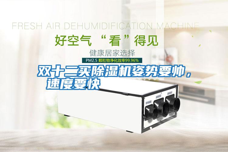 雙十二買(mǎi)除濕機姿勢要帥， 速度要快