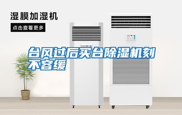 臺風(fēng)過(guò)后買(mǎi)臺除濕機刻不容緩