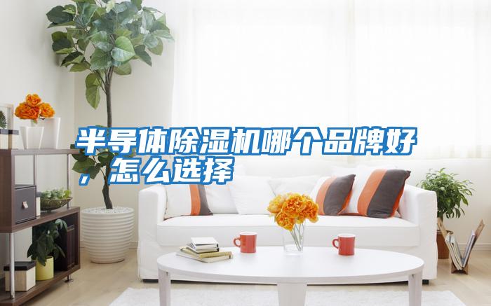 半導體除濕機哪個(gè)品牌好，怎么選擇