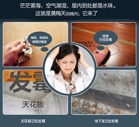除濕機除濕效率怎么看才正確？