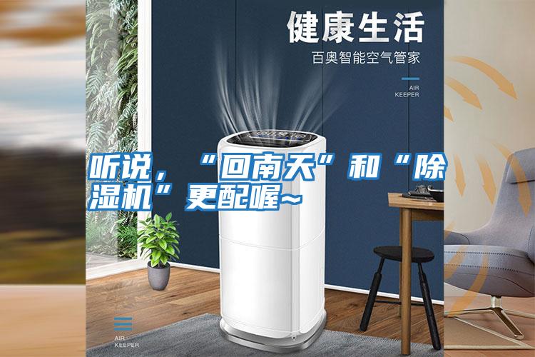 聽(tīng)說(shuō)，“回南天”和“除濕機”更配喔~