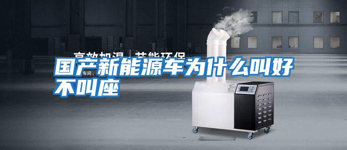 國產(chǎn)新能源車(chē)為什么叫好不叫座