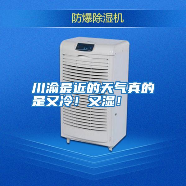 川渝最近的天氣真的是又冷！又濕！