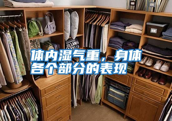 體內濕氣重，身體各個(gè)部分的表現