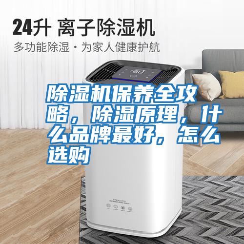 除濕機保養全攻略，除濕原理，什么品牌最好，怎么選購