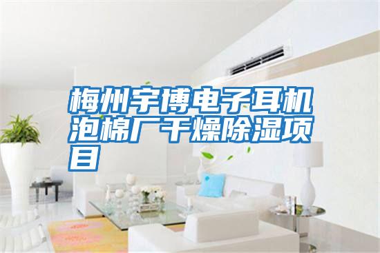 梅州宇博電子耳機泡棉廠(chǎng)干燥除濕項目