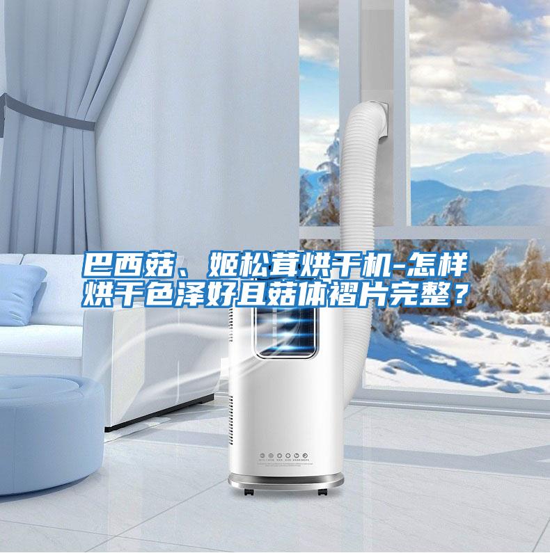 巴西菇、姬松茸烘干機-怎樣烘干色澤好且菇體褶片完整？