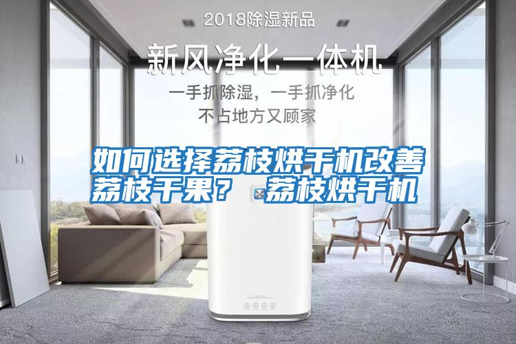 如何選擇荔枝烘干機改善荔枝干果？ 荔枝烘干機
