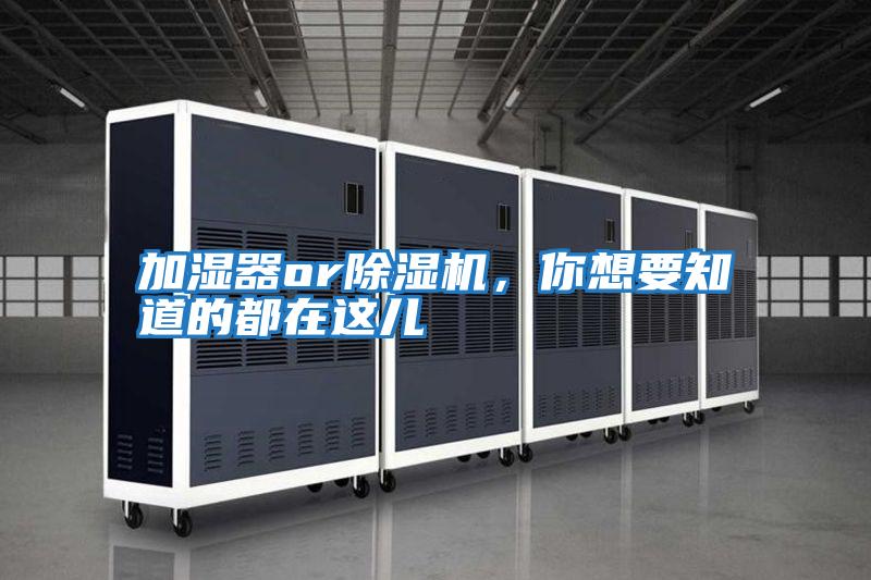 加濕器or除濕機，你想要知道的都在這兒