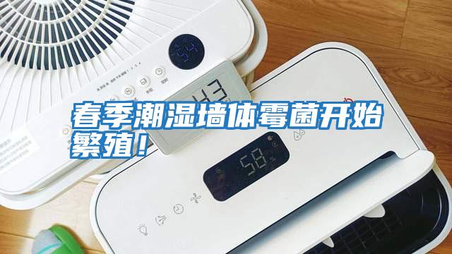 春季潮濕墻體霉菌開(kāi)始繁殖！