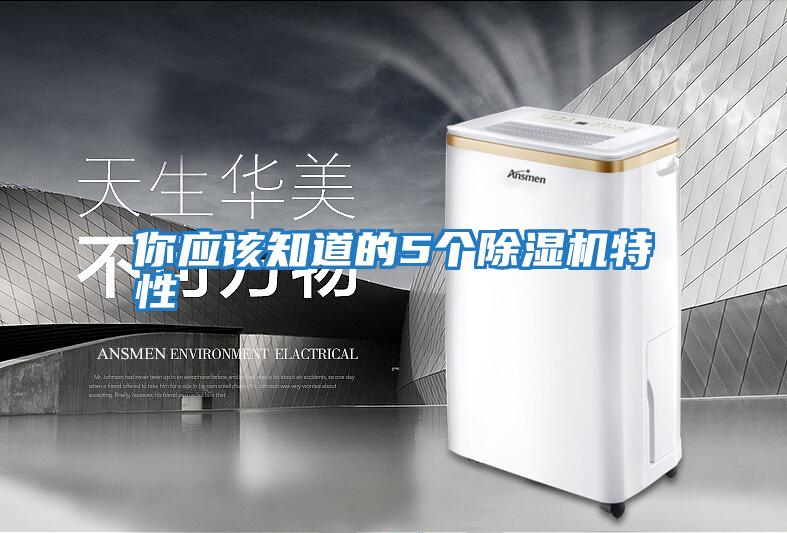 你應該知道的5個(gè)除濕機特性